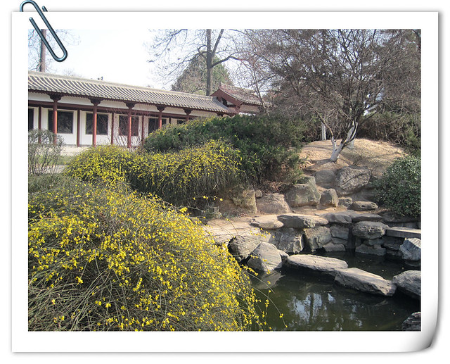 青龙寺 (4)_副本
