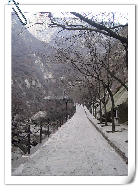 华山 (3)_副本