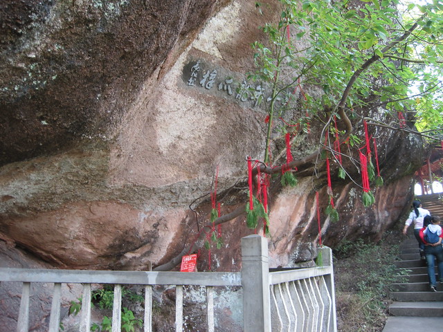 许愿树