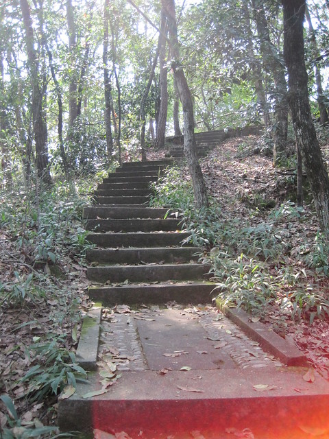 台阶