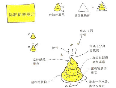 健康的便便