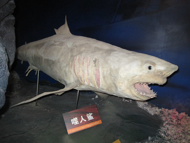 海洋