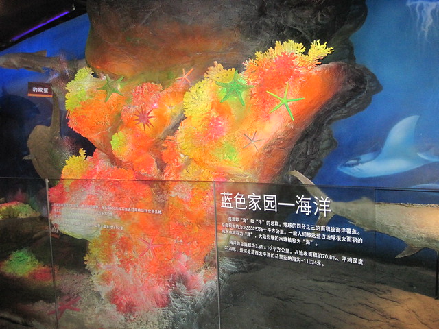 海洋区