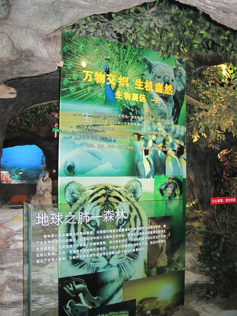 森林区