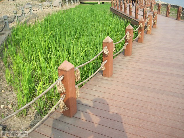婺江公园