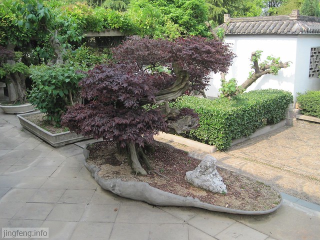 黄宾虹公园