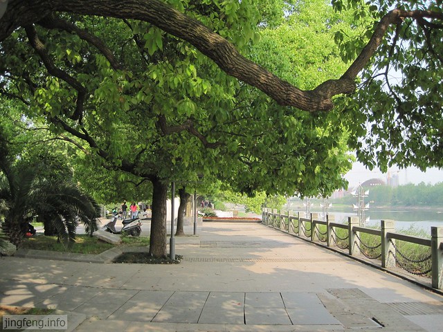 婺江公园