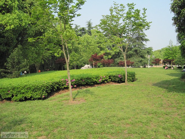 婺江公园