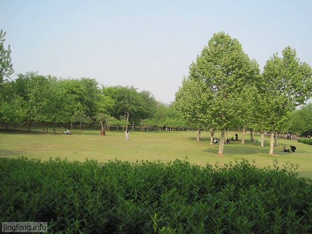 婺江公园