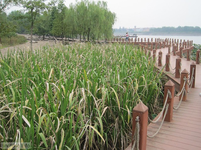 婺江公园