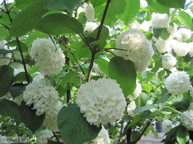 黄宾虹公园