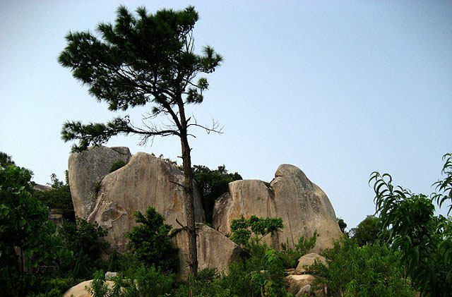 巨峰寺