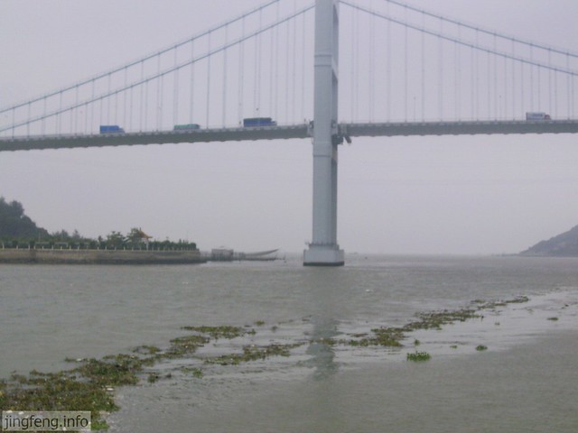 出海