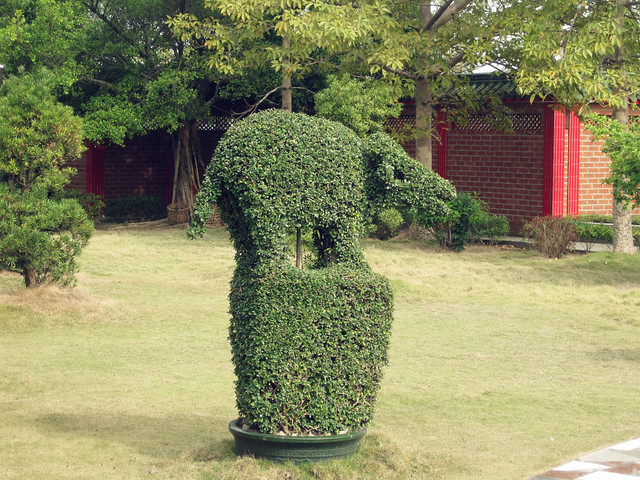 IMG_6692_副本