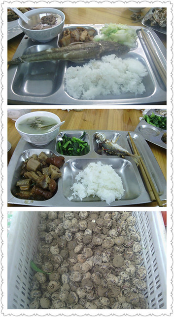 IMG_=120049_副本